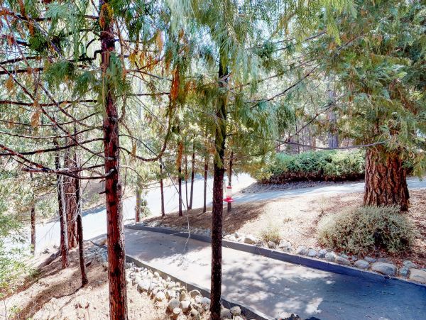 Yosemite Area Home 984604
