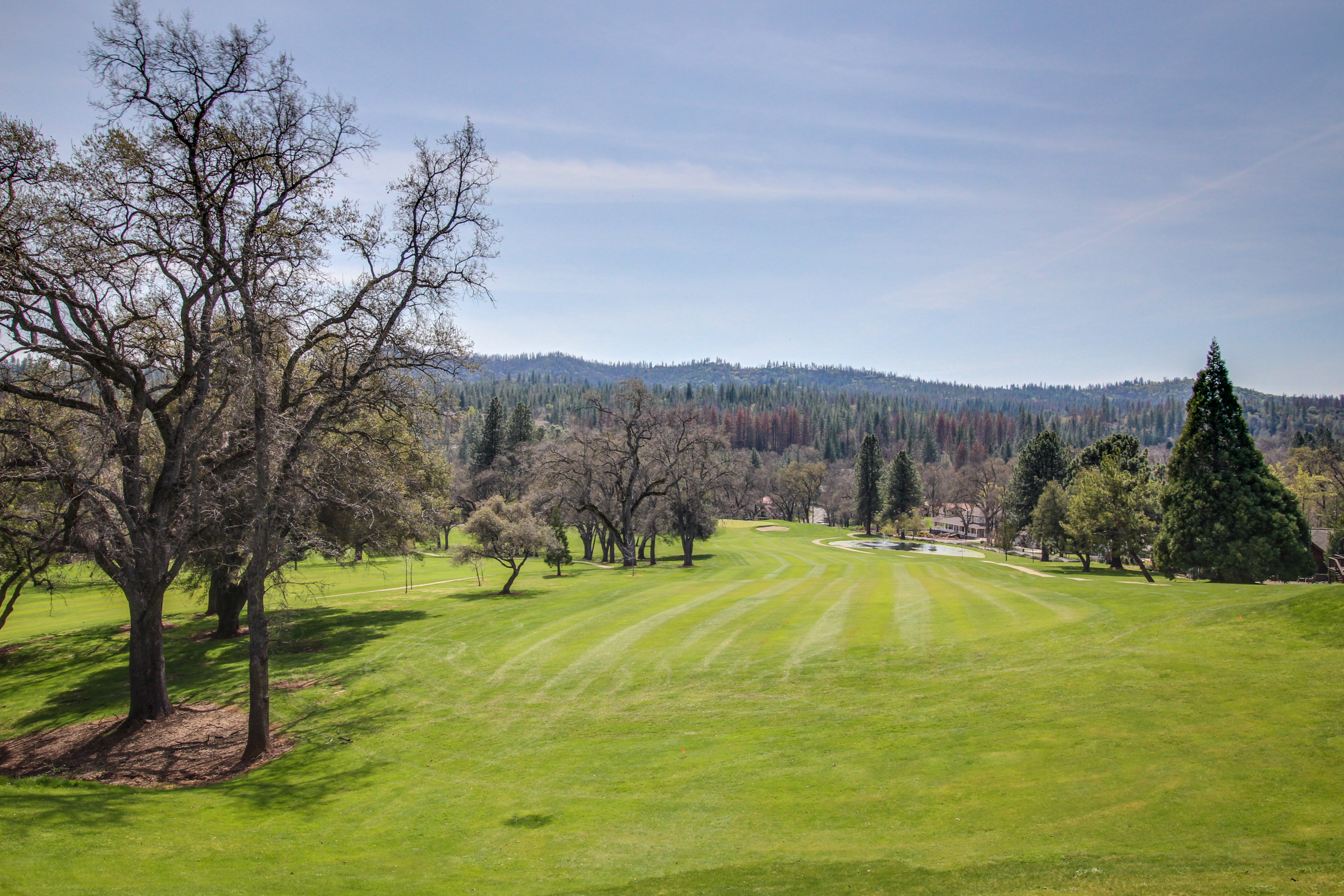 Yosemite Area Home 984604