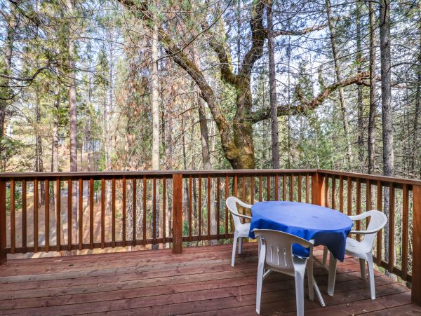 Yosemite Area Home 984611