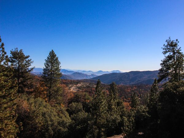 Yosemite Area Home 984622