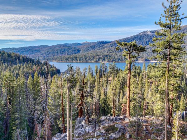 Yosemite Area Home 984622