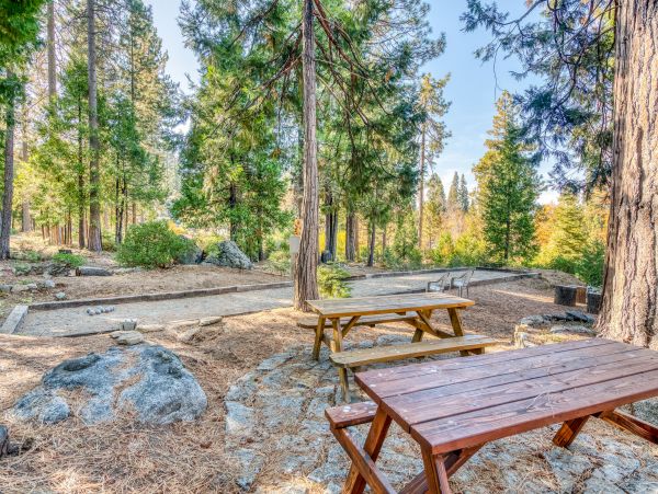 Yosemite Area Home 984628