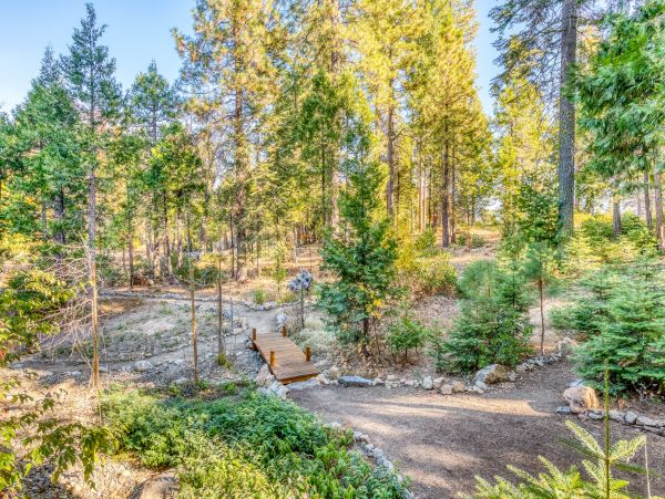 Yosemite Area Home 984628