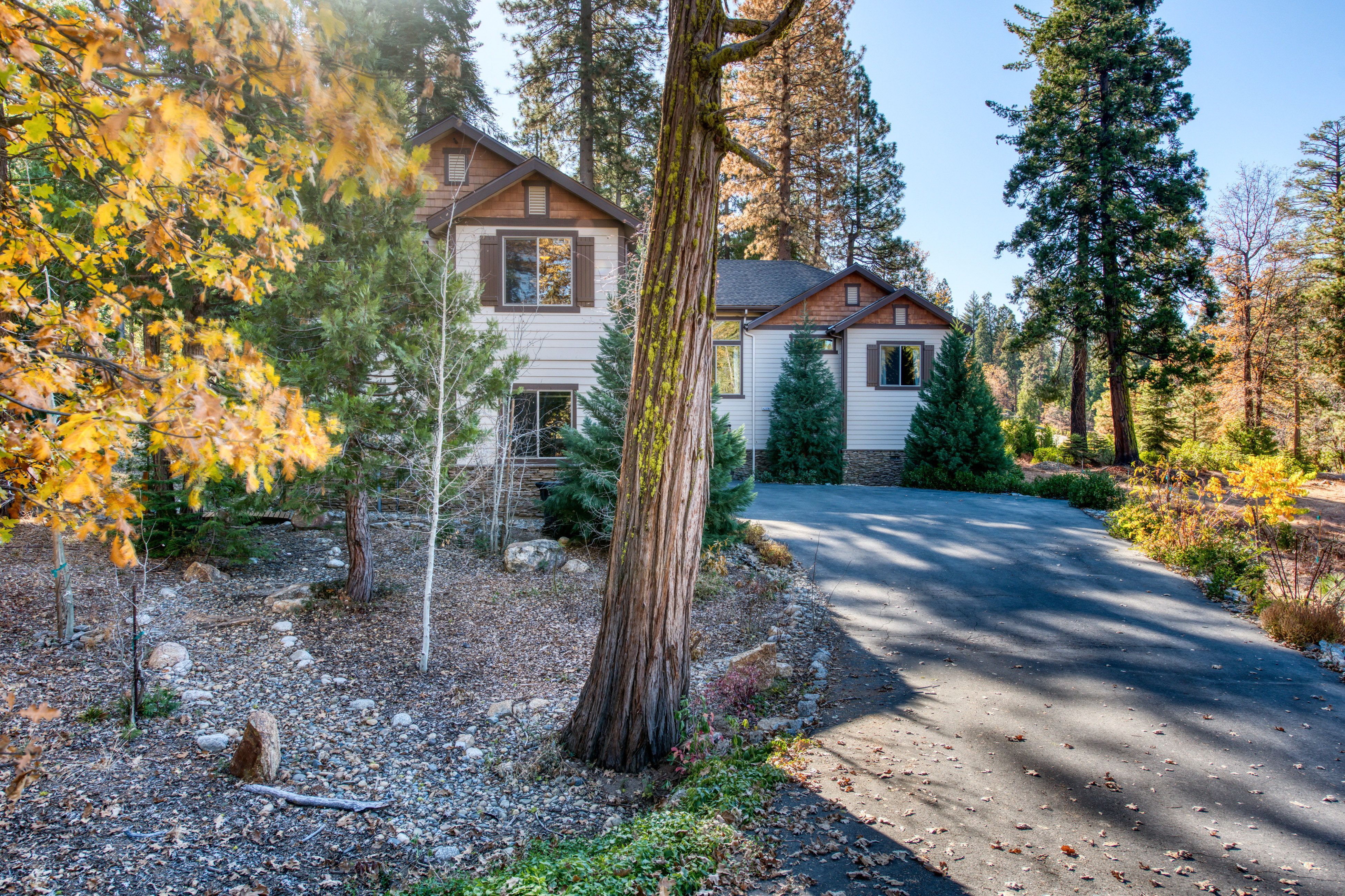 Yosemite Area Home 984628