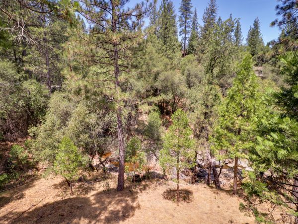 Yosemite Area Home 984632