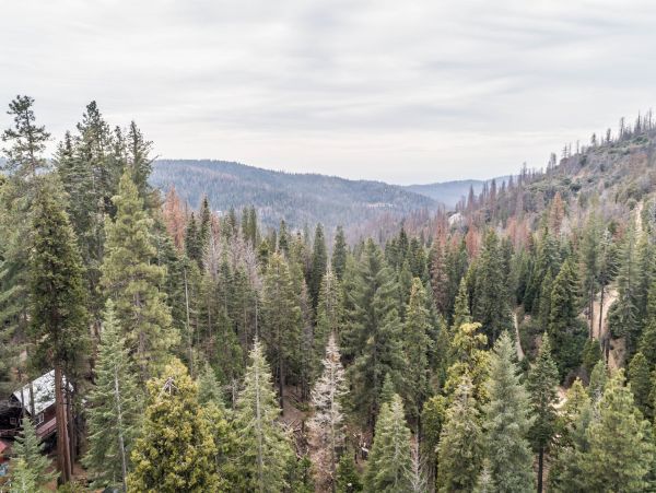 Yosemite Area Home 984633