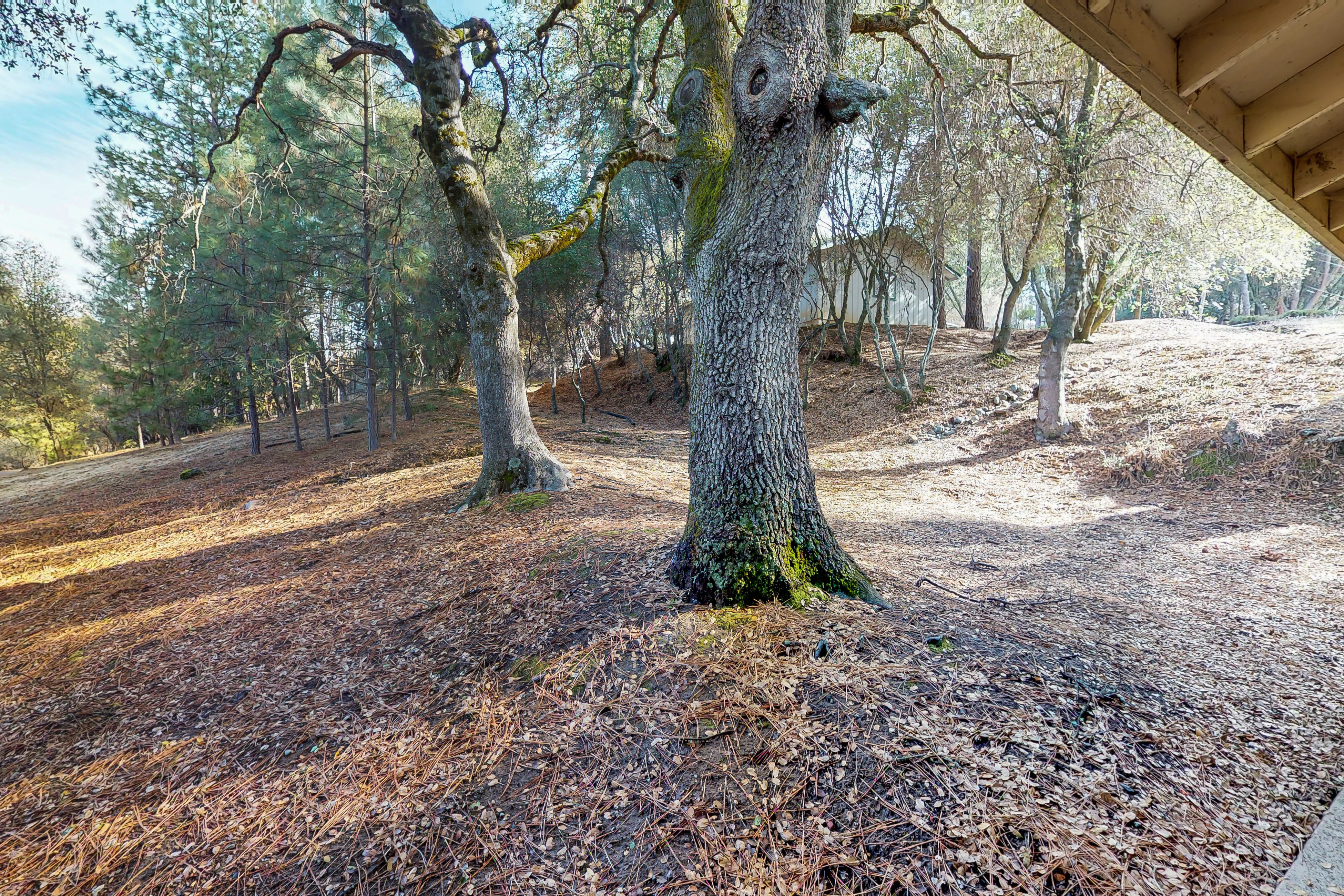 Yosemite Area Home 984637