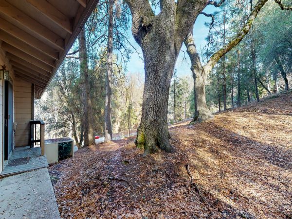 Yosemite Area Home 984637