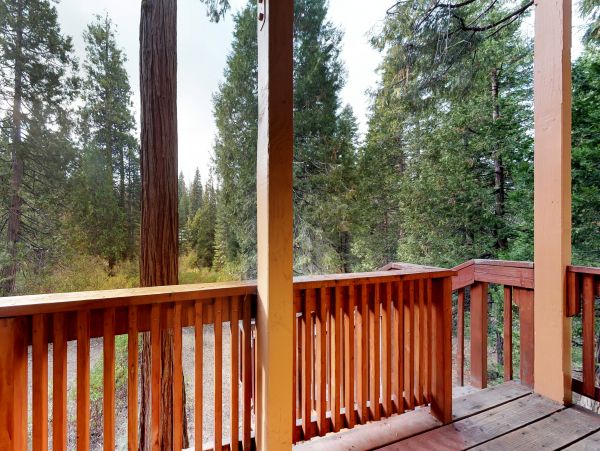 Yosemite Area Home 984641