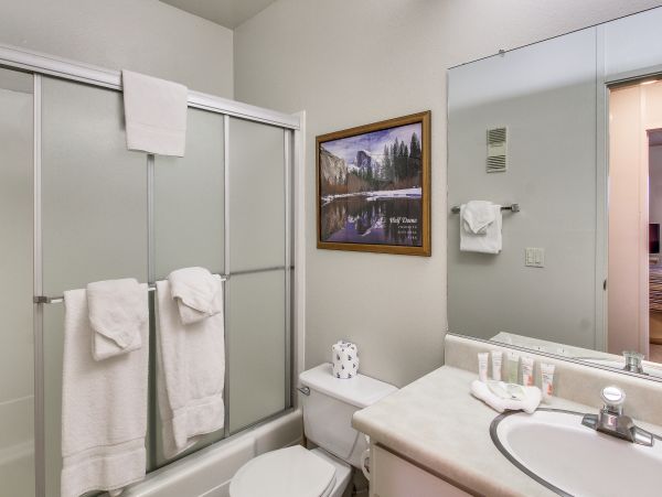 Yosemite Area Home 984643