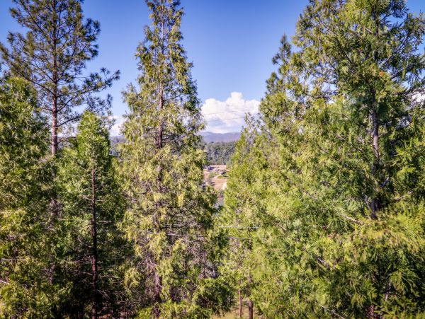 Yosemite Area Home 984648