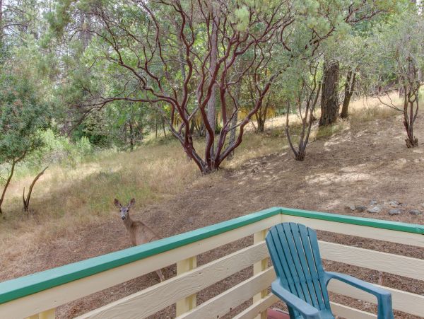 Yosemite Area Home 984650