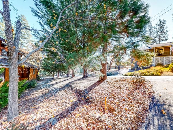 Yosemite Area Home 984652