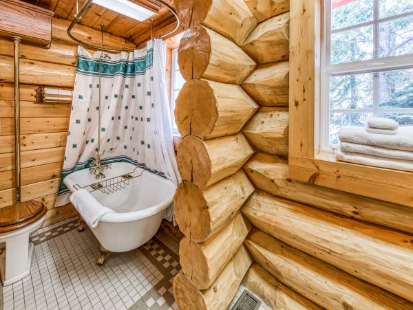 Yosemite Area Home 984656