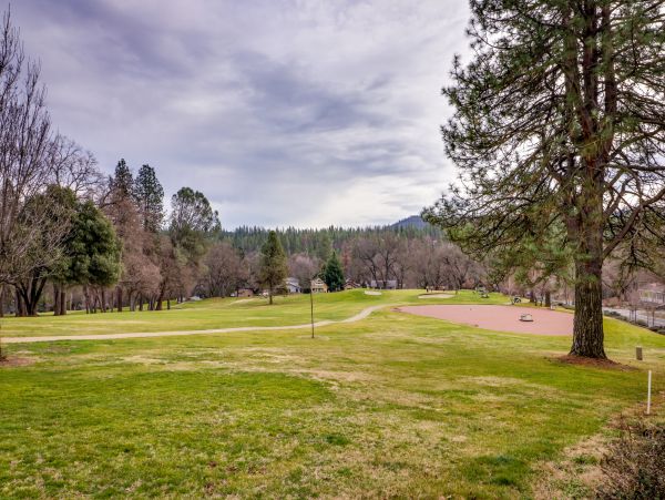 Yosemite Area Home 984659