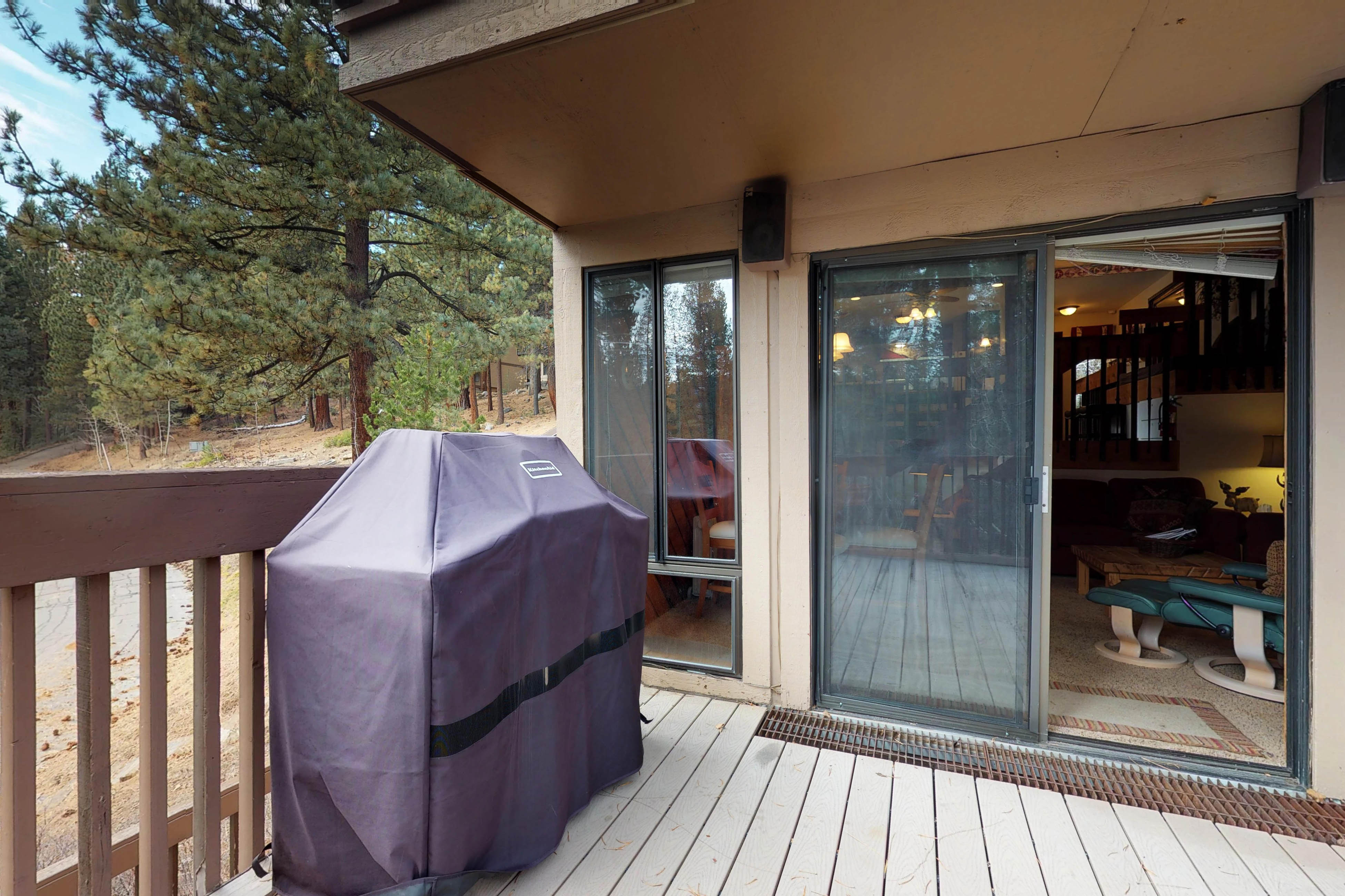 Yosemite Area Home 984663