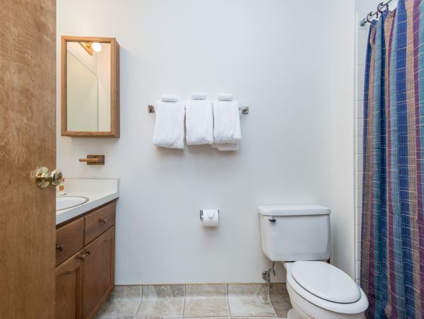 Yosemite Area Home 984664