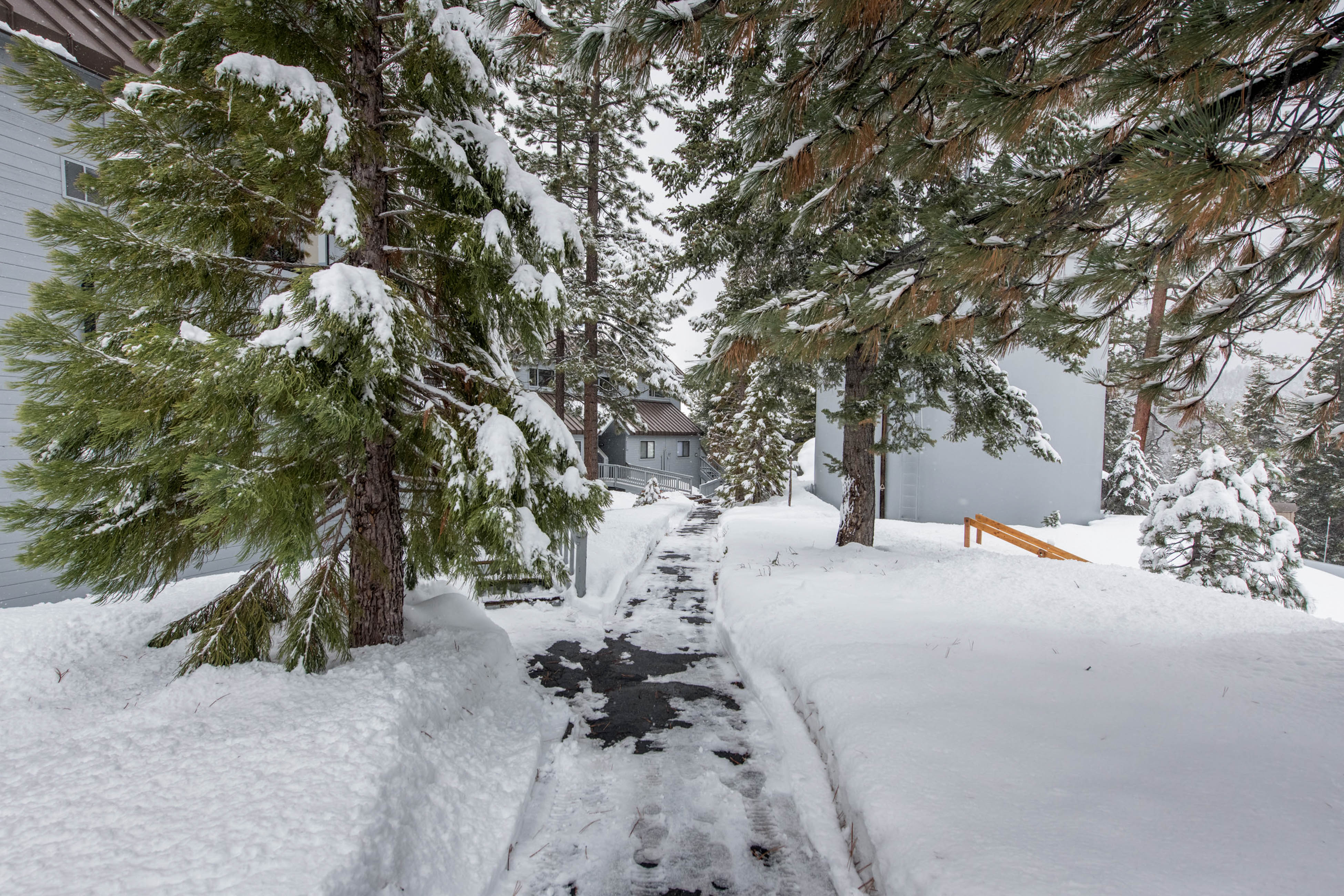 Yosemite Area Home 984666