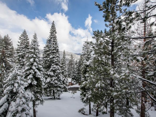 Yosemite Area Home 984666