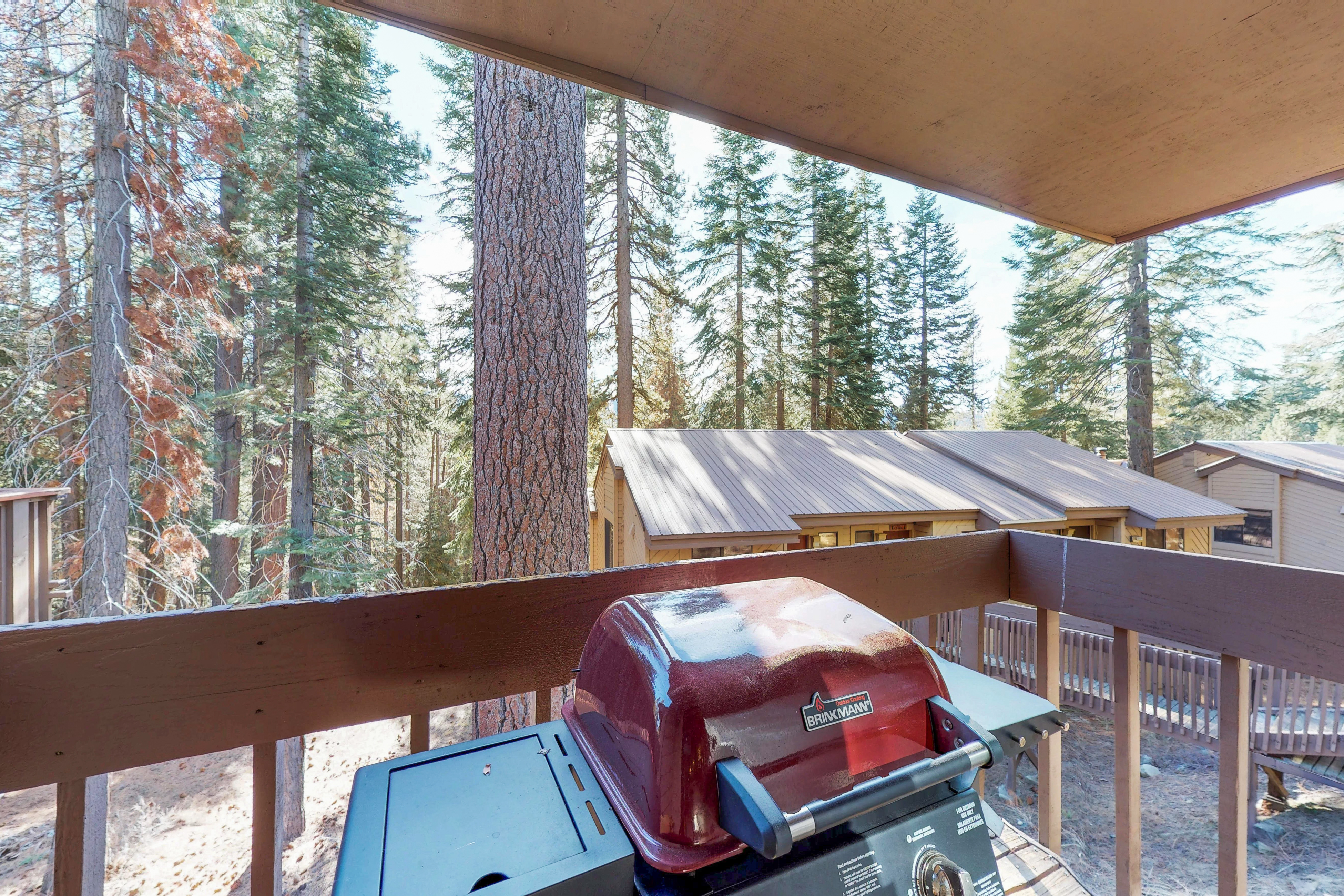 Yosemite Area Home 984668
