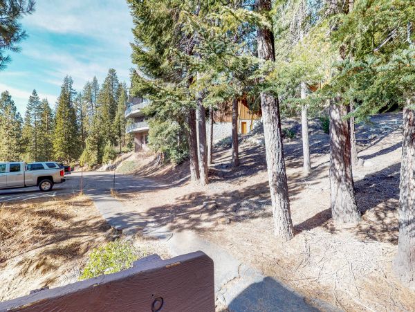 Yosemite Area Home 984668