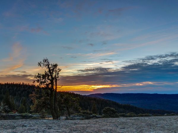 Yosemite Area Home 984668