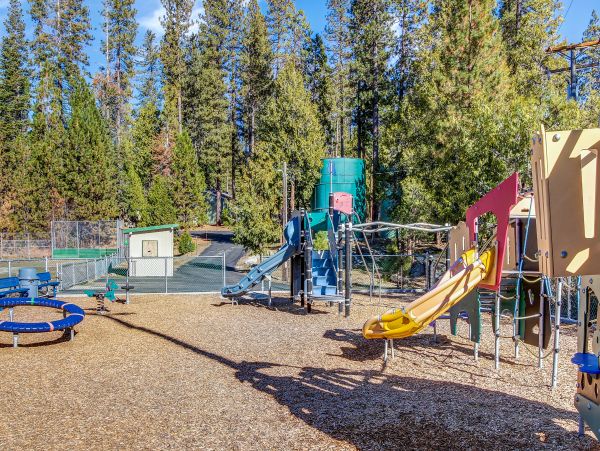 Yosemite Area Home 984668