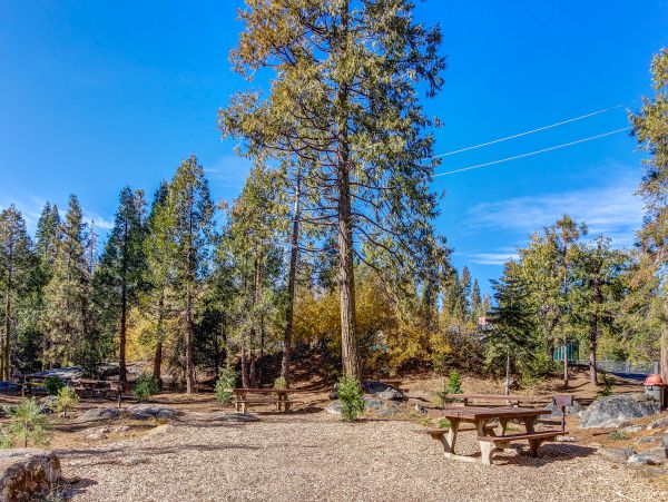 Yosemite Area Home 984668