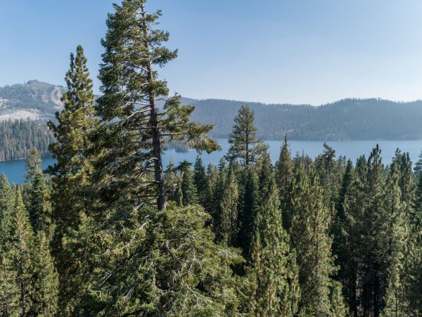 Yosemite Area Home 984669