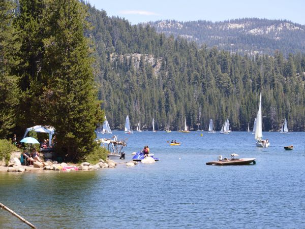 Yosemite Area Home 984669
