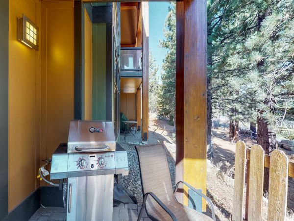 Yosemite Area Home 984678