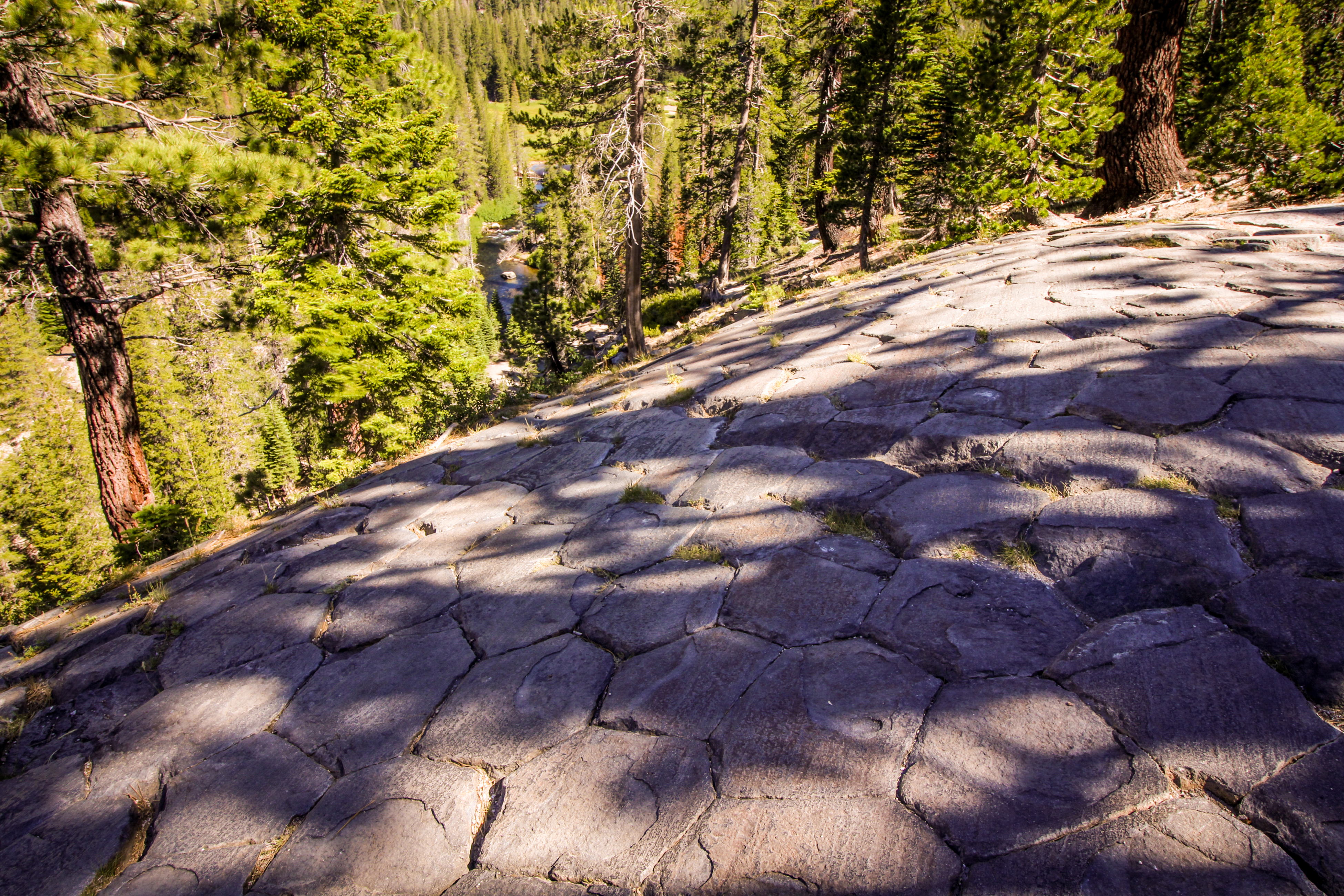Yosemite Area Home 984678