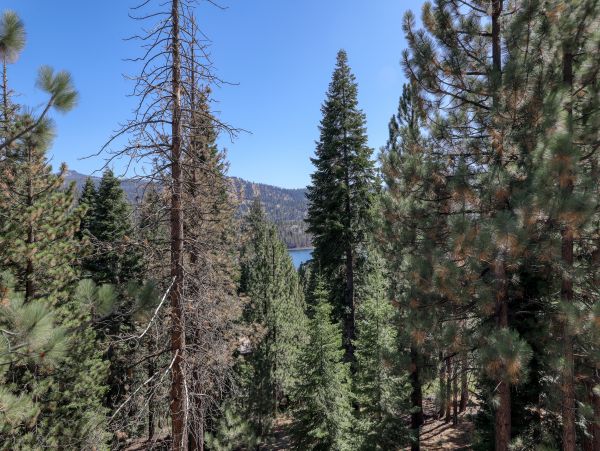 Yosemite Area Home 984682