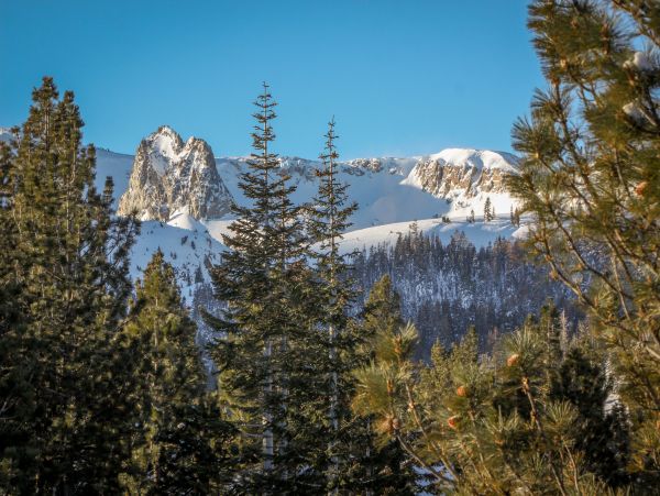 Yosemite Area Home 984692