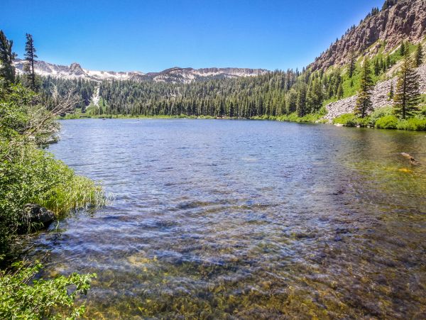 Yosemite Area Home 984693