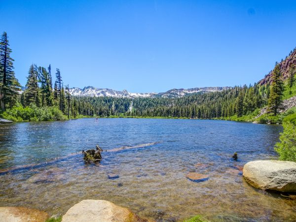 Yosemite Area Home 984693