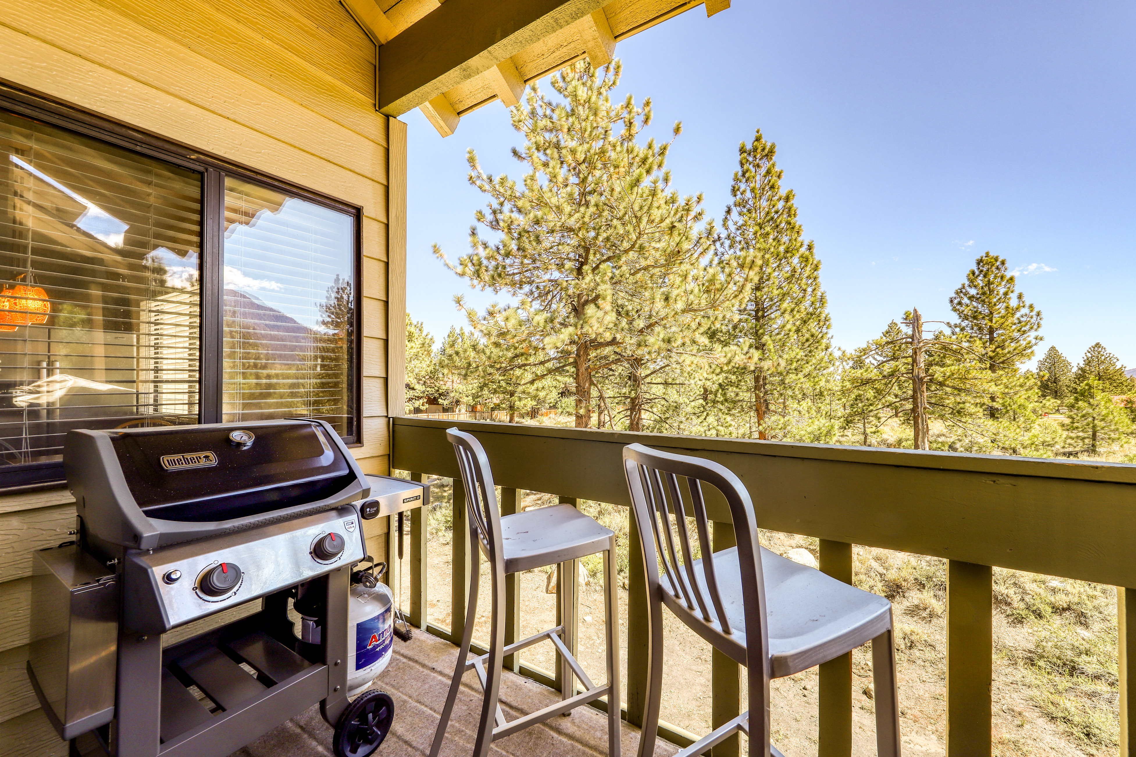 Yosemite Area Home 984699