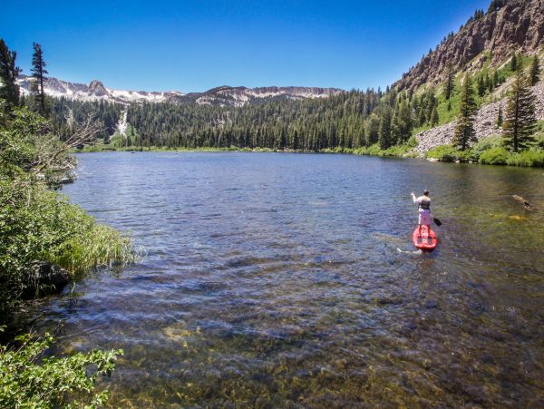 Yosemite Area Home 984699