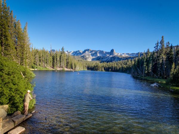 Yosemite Area Home 984701