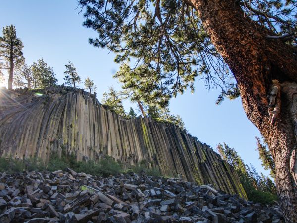 Yosemite Area Home 984705