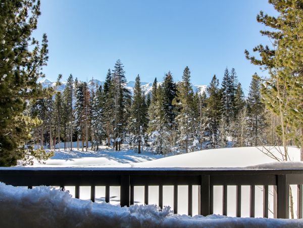 Yosemite Area Home 984719