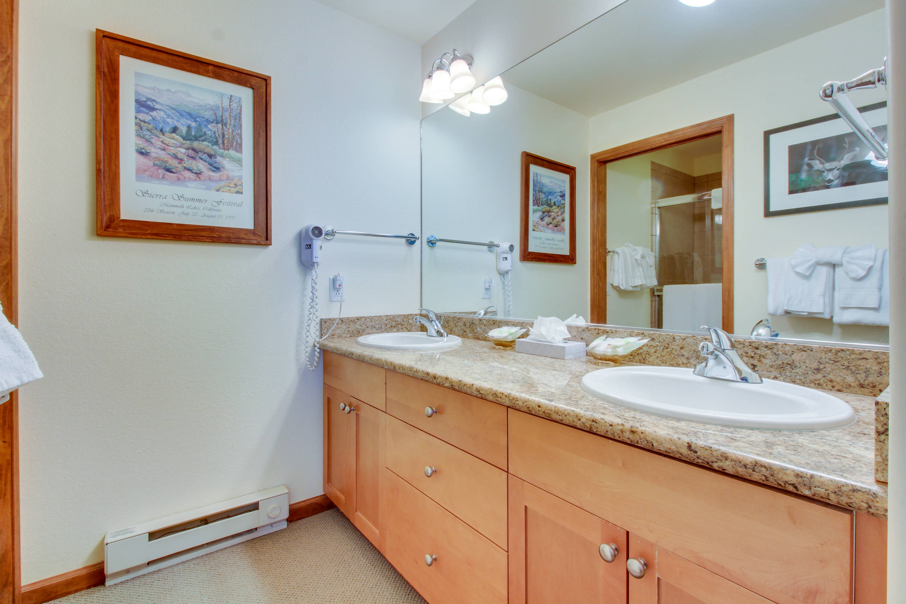 Yosemite Area Home 984724