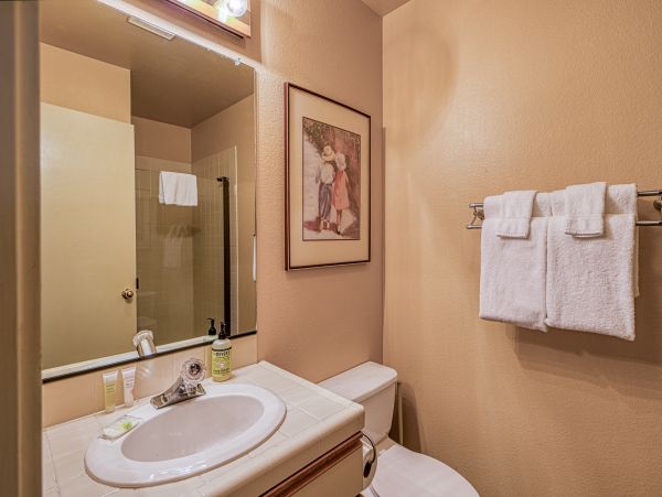 Yosemite Area Home 984726