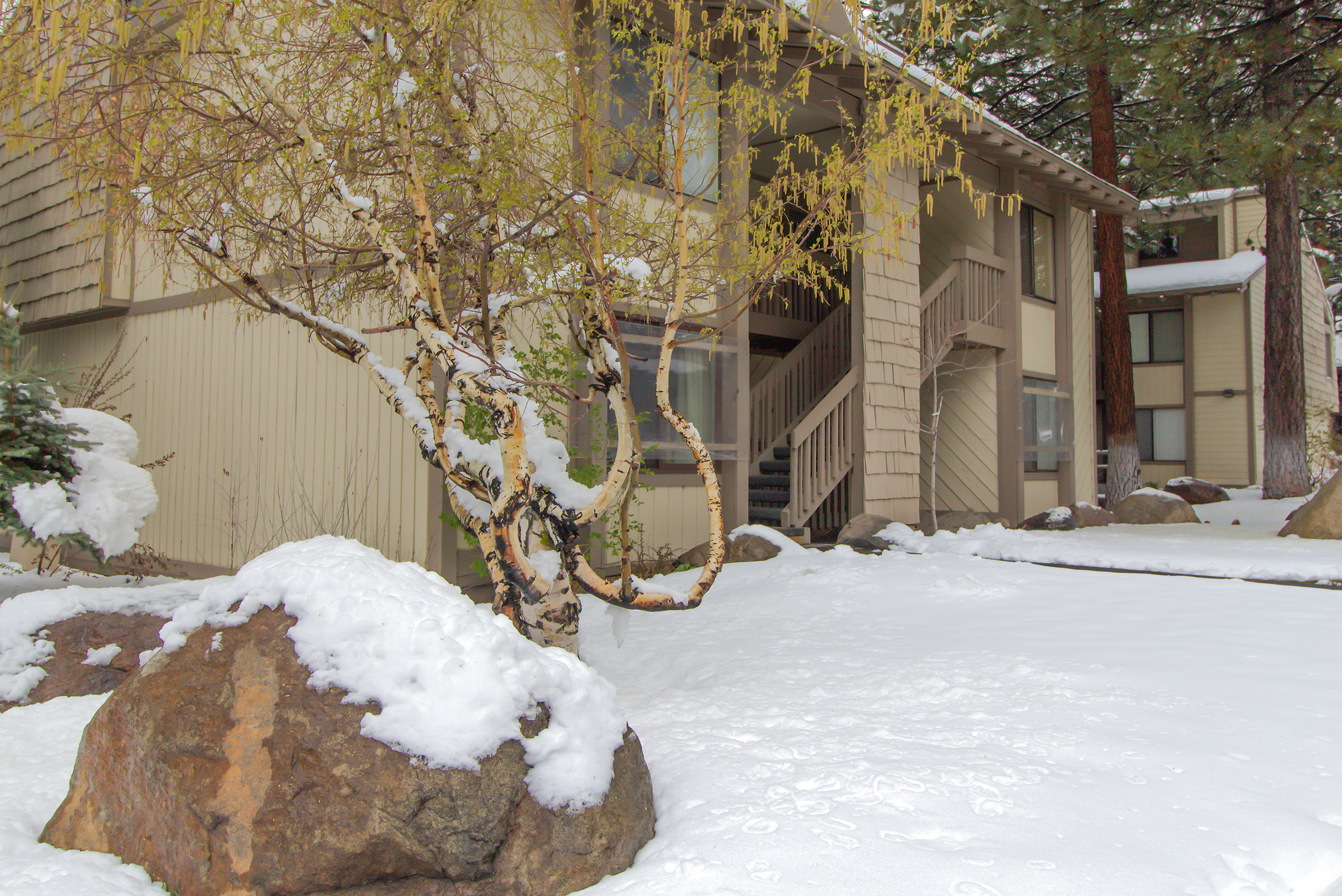 Yosemite Area Home 984731