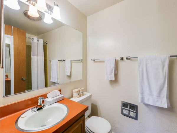 Yosemite Area Home 984735