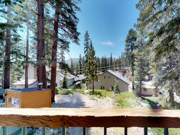 Yosemite Area Home 984737