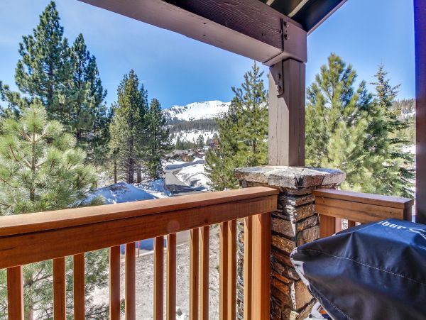 Yosemite Area Home 984742
