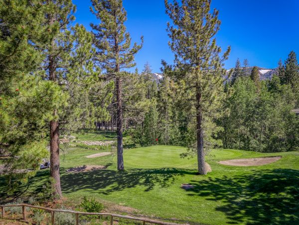 Yosemite Area Home 984743