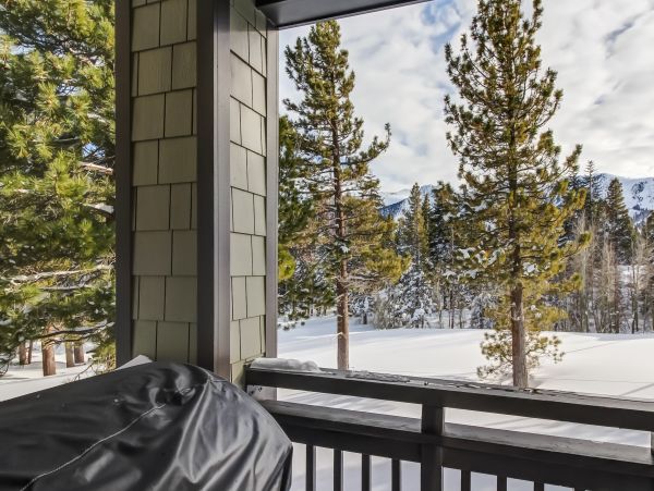 Yosemite Area Home 984743