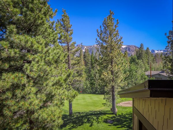 Yosemite Area Home 984743